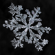 Image for article titled A photographer’s scientific approach to shooting snowflakes reveals stunning geometric variety